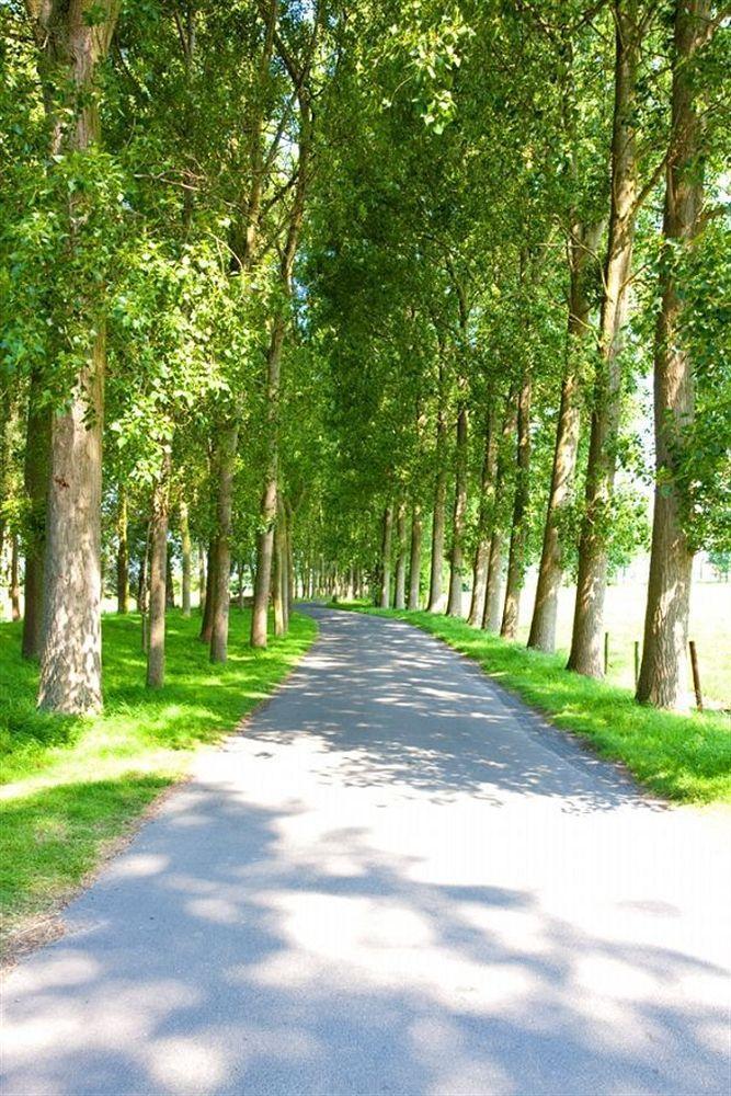 Hof Ter Doest 3* Brugge
